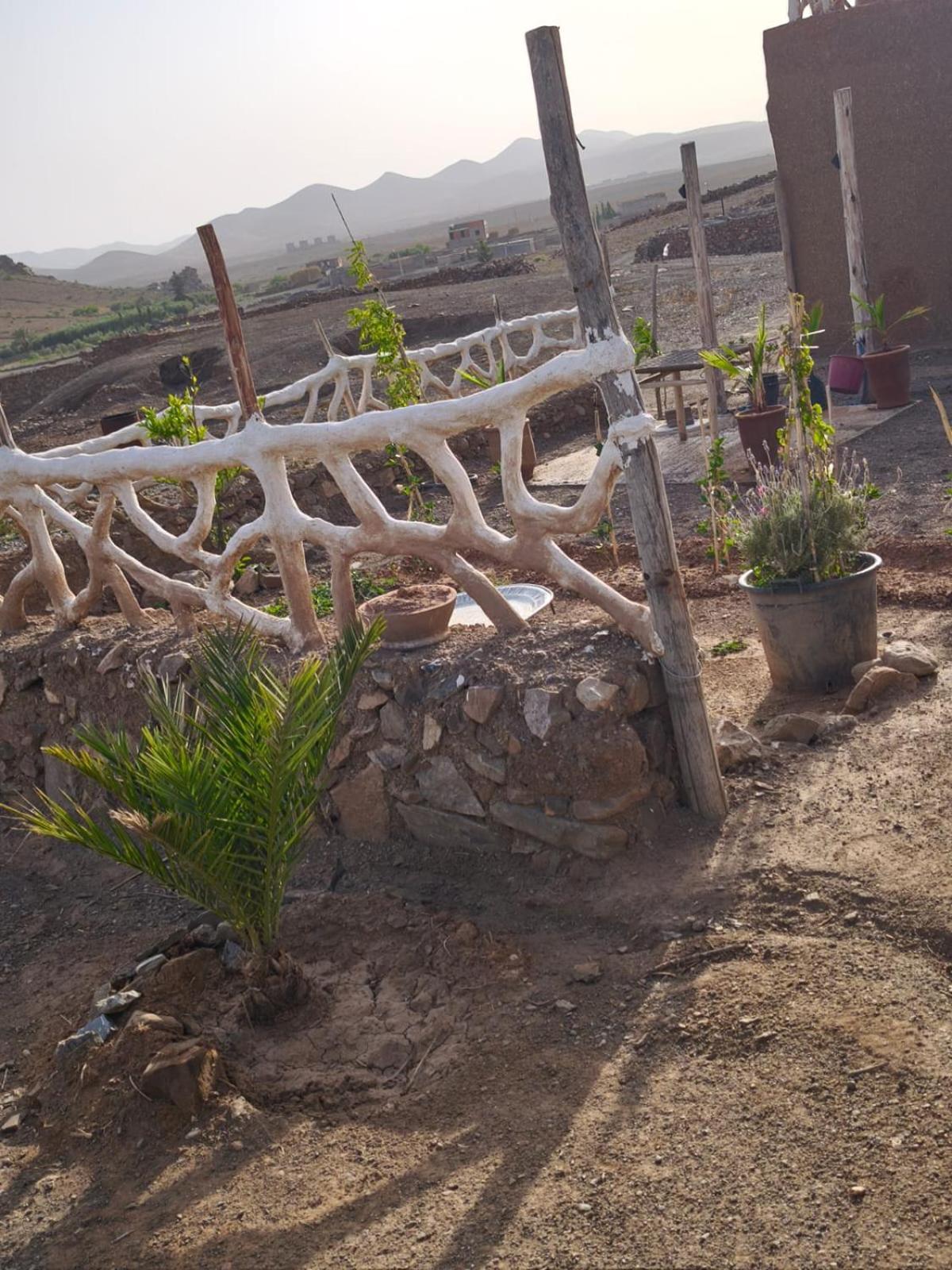 Guest house Noe Nomade , On Dirait Le Sud Marrakesh